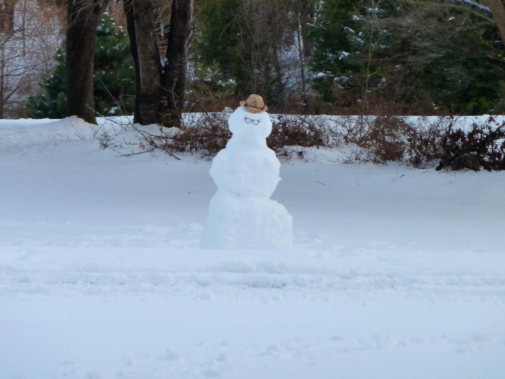 Snow Storm 2104